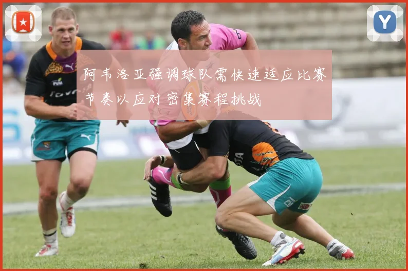 阿韦洛亚强调球队需快速适应比赛节奏以应对密集赛程挑战