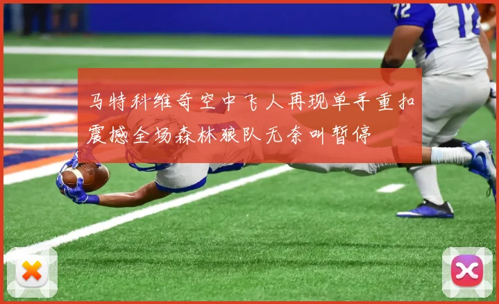 马特科维奇空中飞人再现单手重扣震撼全场森林狼队无奈叫暂停