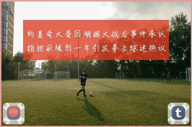约基奇大哥因湖掘大战后事件承认指控获缓刑一年引发拳击球迷热议